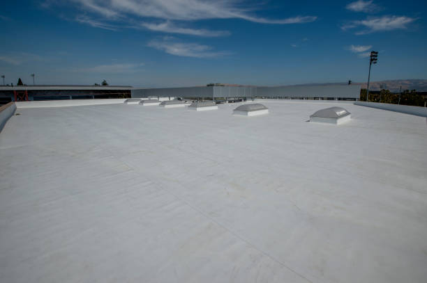 Best Flat Roofing  in South Tucson, AZ